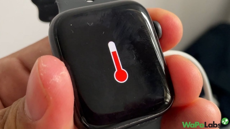 Temperature might affect the Apple watch