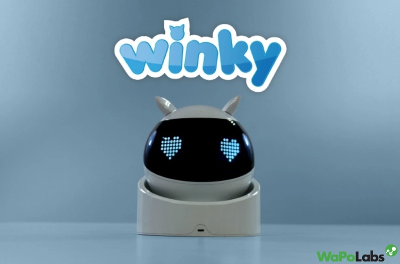 Winky, educational purposes AI robot