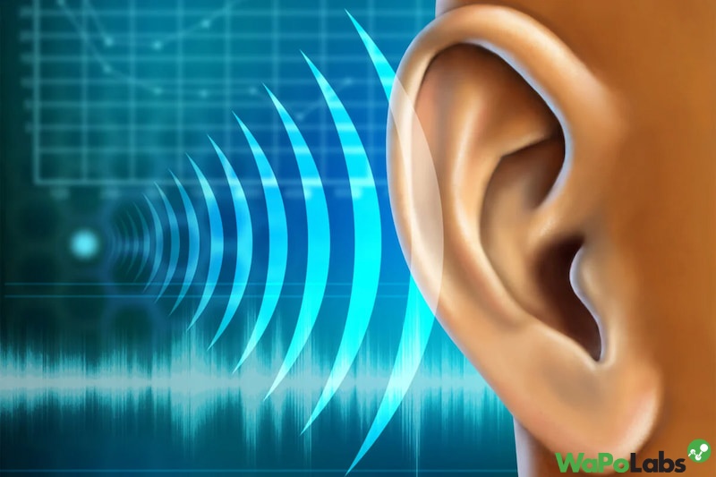 Digital Hearing Aids help reduce noise