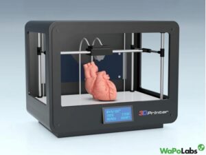 What are 3D Printed Organs?